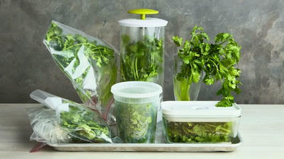 How to Store Fresh Herbs: Extend Their Flavor