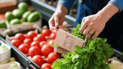 Local Market Shopping: How to Pick the Best Ingredients