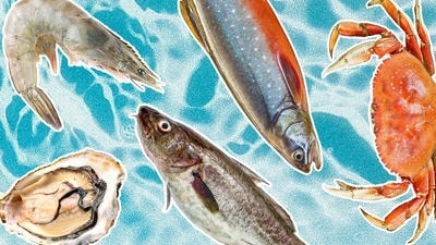 Sustainable Seafood: How to Choose Eco-Friendly Fish
